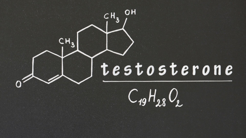 Androstenedione là khung cơ bản để tổng hợp một số hoạt chất khác
