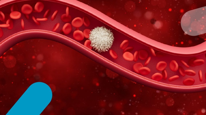 Top thành phần dinh dưỡng giúp tăng lượng hồng cầu trong máu-1