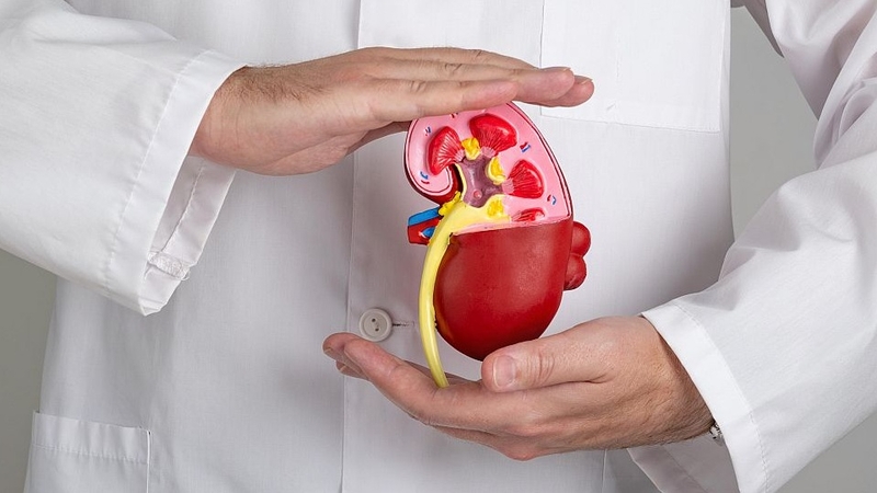 nguoi-tre-co-kha-nang-bi-suy-than-khong-nguyen-nhan-suy-than-o-nguoi-tre 1