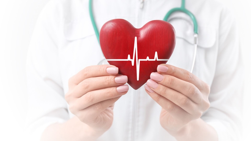 Aspergillus terreus tạo ra lovastatin, giúp giảm cholesterol và hỗ trợ phòng bệnh tim mạch