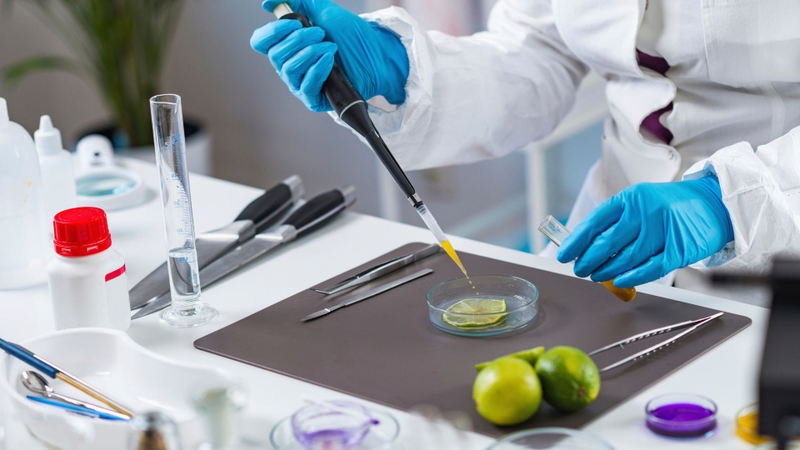 Aspergillus terreus không dùng trực tiếp, chỉ khai thác qua sản phẩm lên men