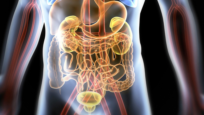 Avanafil được thải trừ qua phân và nước tiểu