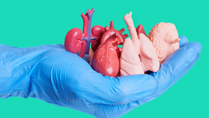 Hiểu về Azathioprine: Công dụng, cách dùng và lưu ý 1.png