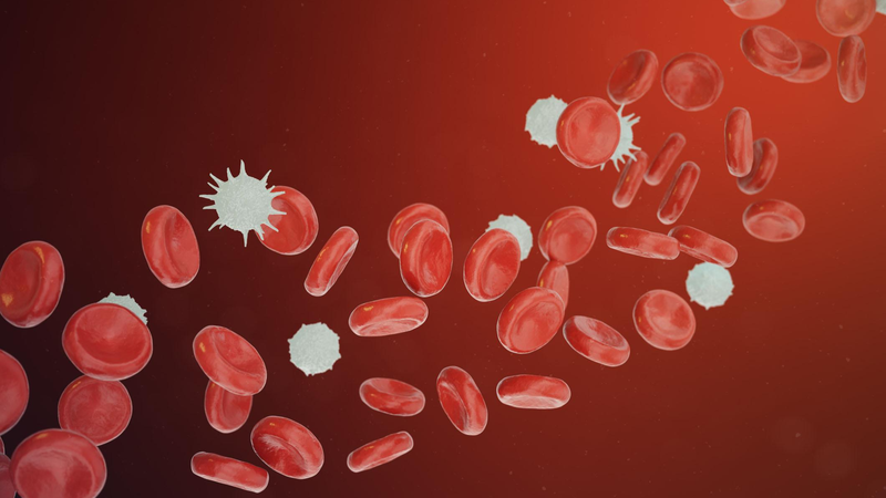 Hiểu về Azathioprine: Công dụng, cách dùng và lưu ý 7.png