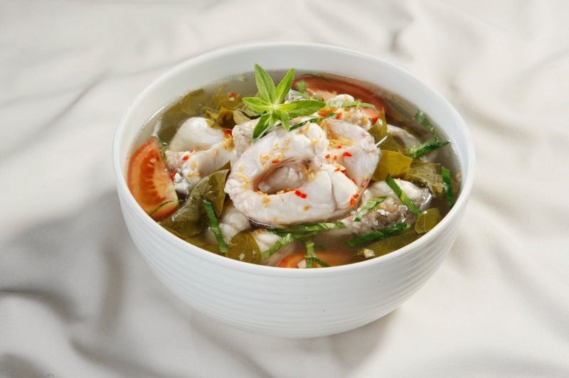 Bà bầu ăn cá bớp được không? Lợi ích tuyệt vời của cá bớp với bà bầu 2