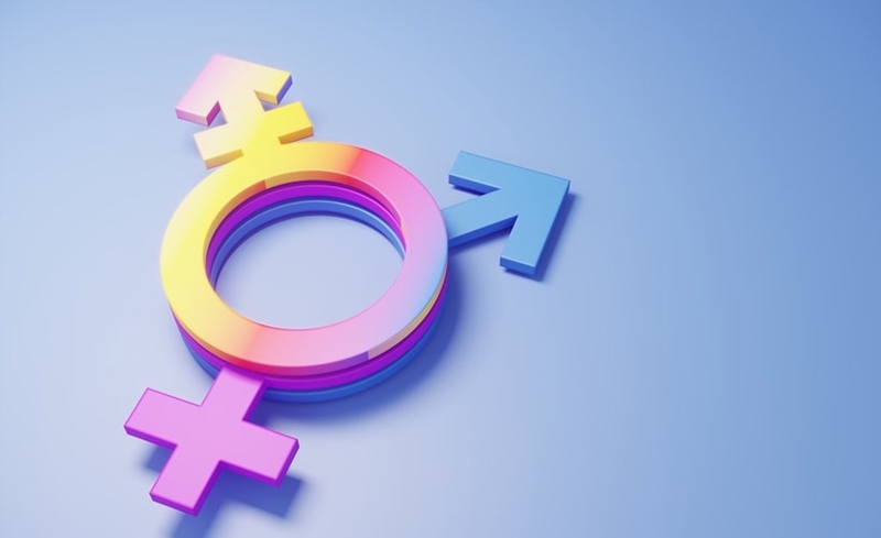 Bản dạng giới 01