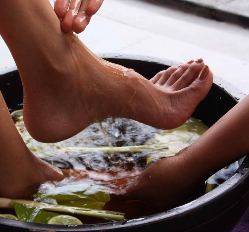 Bật mí cách chữa bệnh ra mồ hôi tay chân bằng lá lốt không phải ai cũng biết 2