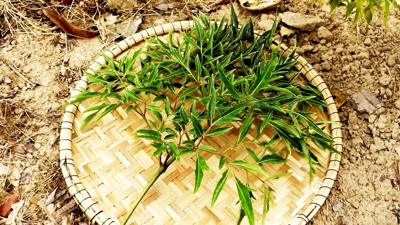 Bật mí cách chữa mồ hôi trộm ở trẻ sơ sinh 2