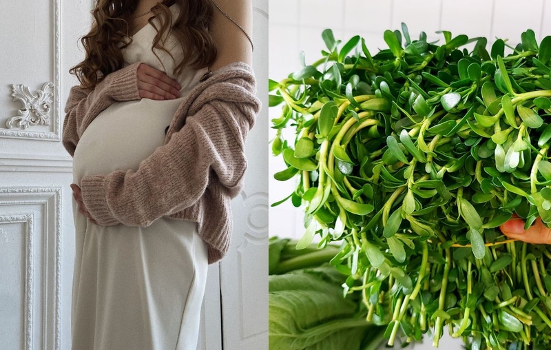 Bầu ăn rau đắng được không? Tác dụng của rau đắng đối với bà bầu 3
