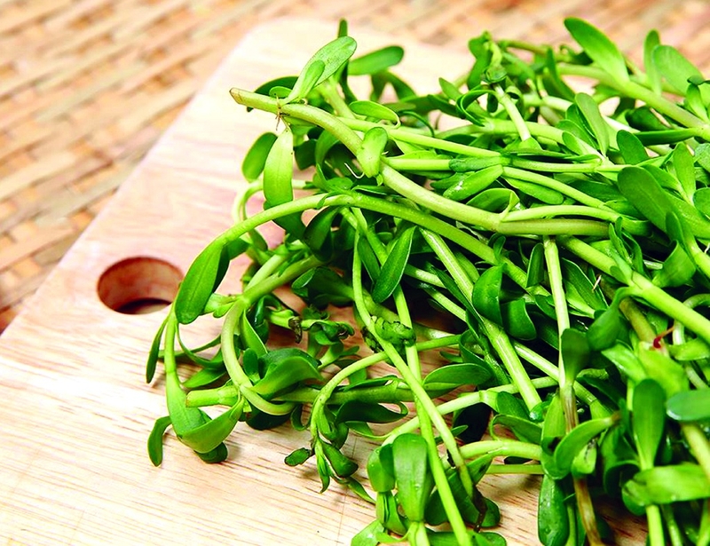 Bầu ăn rau đắng được không? Tác dụng của rau đắng đối với bà bầu 4