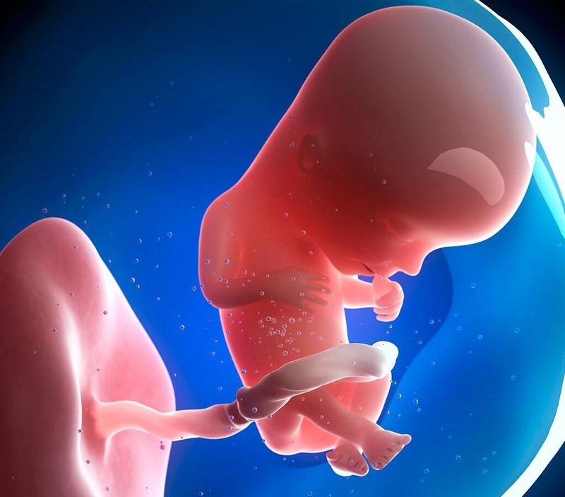 Bầu ăn rau húng quế được không? Tác dụng của rau húng quế với bà bầu 3