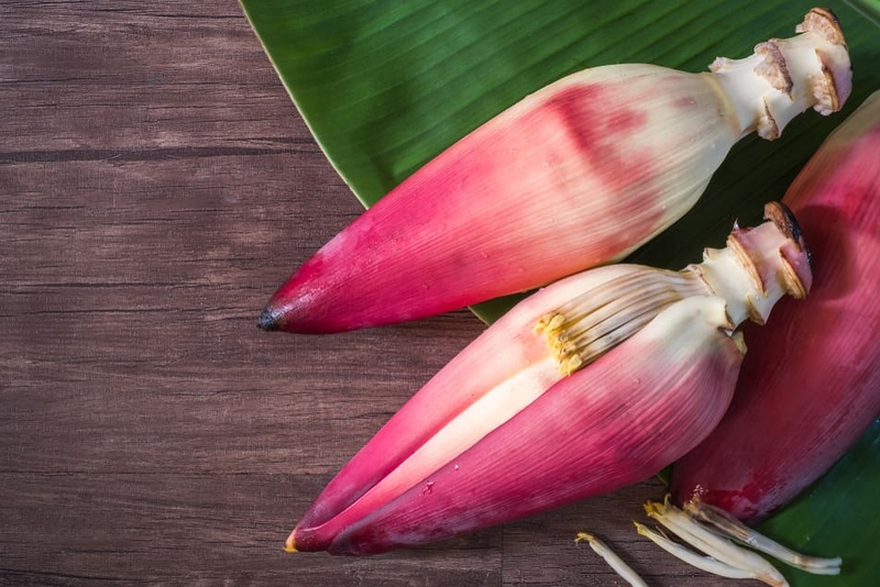 Bầu ăn bắp chuối sống được không? Lợi ích không ngờ tới của bắp chuối 1