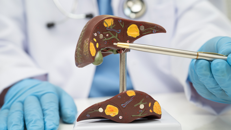 Bedaquiline được chuyển hóa chủ yếu tại gan