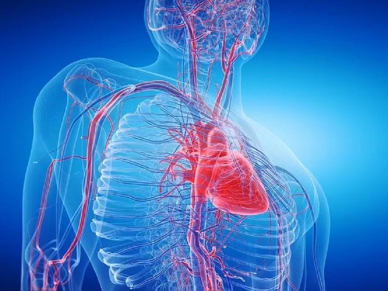 Bệnh cầu cơ mạch vành: Nguyên nhân, triệu chứng và cách điều trị 3