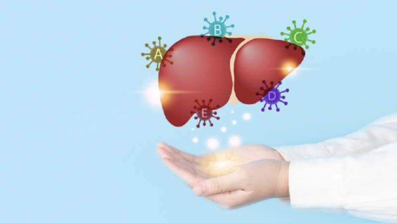 benh-gan-co-lay-khong-cac-van-de-lien-quan-den-gan 4