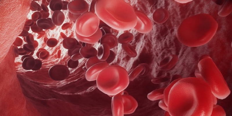 Tìm hiểu chung về bệnh ghép chống chủ do truyền máu1