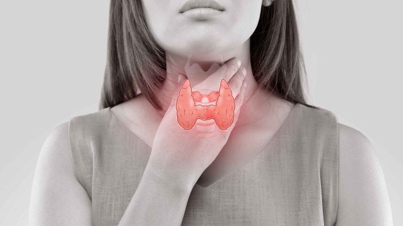 Bị bướu cổ có nên uống sữa đậu nành 02