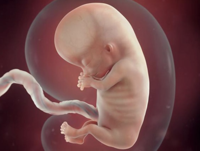 biotin-co-dung-duoc-cho-ba-bau-khong 3