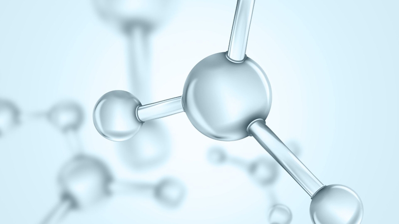 Bovine type I collagen là collagen nhóm I có nguồn gốc từ bò, được chiết xuất chủ yếu từ da, xương và gân