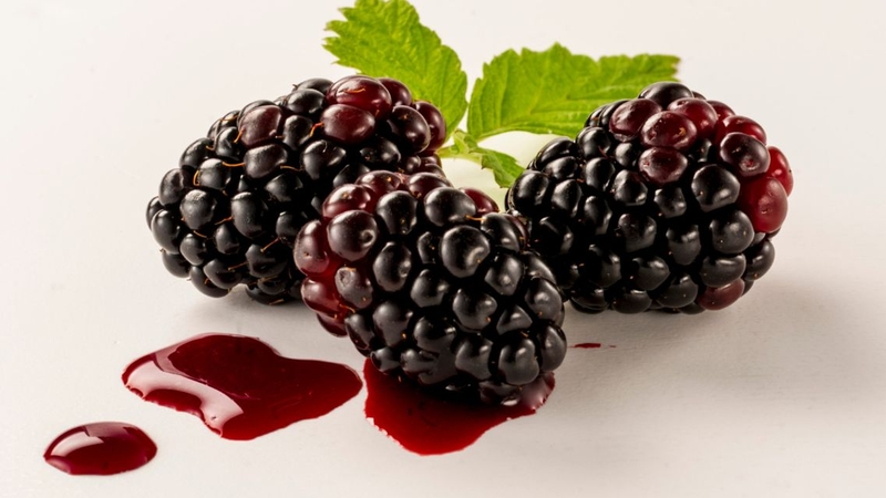 Đây là loại quả có giá trị dinh dưỡng cao