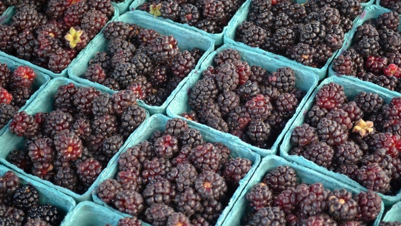 Boysenberry mang đến nhiều lợi ích sức khỏe khi ăn đúng cách