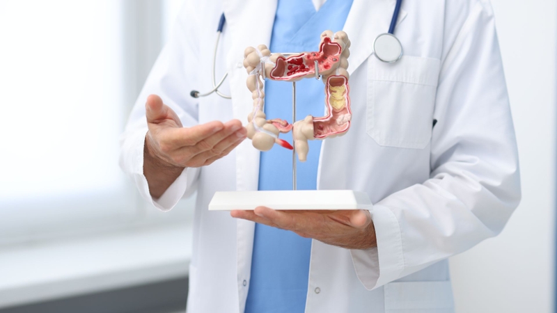 Butyric Acid giúp tăng cường chức năng miễn dịch của đường ruột