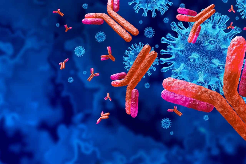 CMV IgG dương tính bà bầu 02