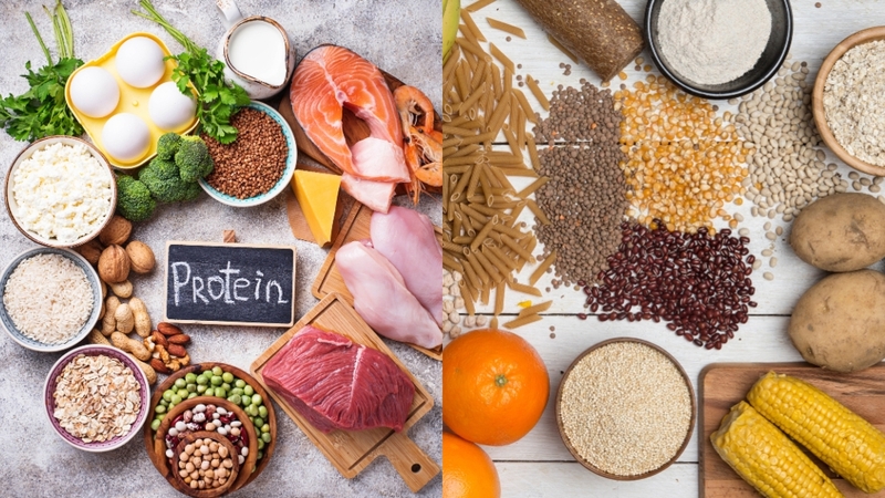 Bổ sung đủ protein và tinh bột tốt giúp cơ phục hồi, tái tạo sau buổi tập