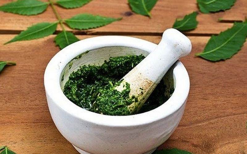 Cac-bai-thuoc-dan-gian-dung-cay-voi-voi-chua-vay-nen (3).png