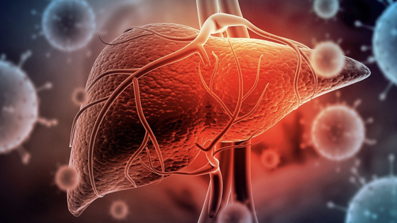 cac-dau-hieu-gan-khong-tot-va-cach-phong-ngua 1