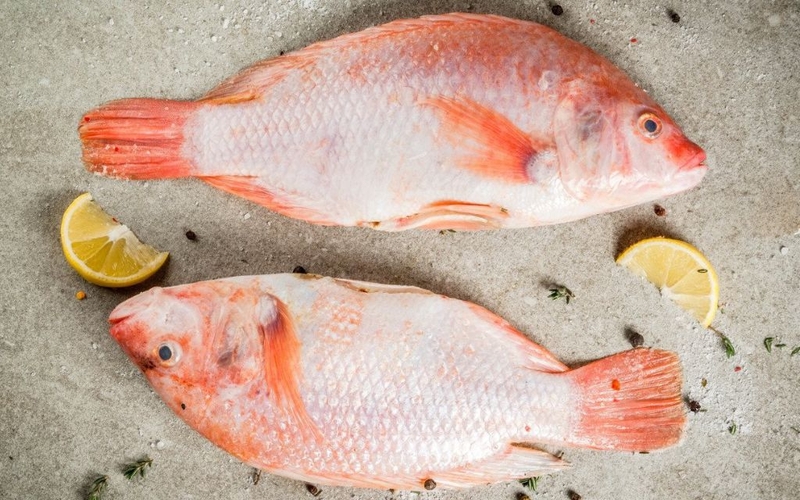 Các loại cá tốt cho phụ nữ sau sinh giúp nhanh hồi phục sức khỏe 3