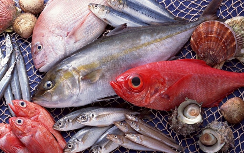 Các loại cá tốt cho phụ nữ sau sinh giúp nhanh hồi phục sức khỏe 4