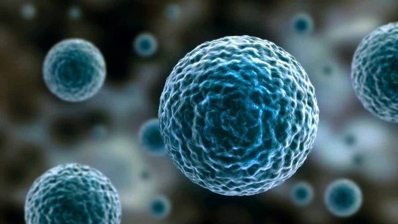 Các phương pháp điều trị ung thư phổ biến hiện nay1