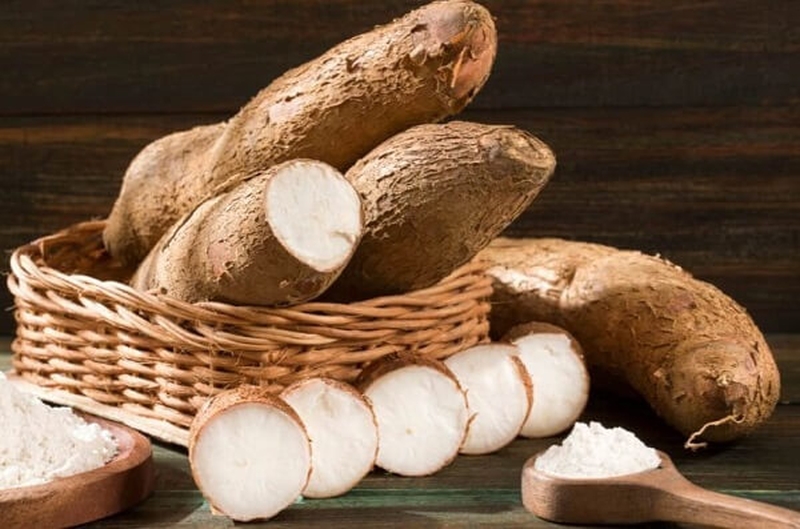 Sắn tươi sau khi bảo quản bằng&nbsp; cách chôn vùi vẫn rất tươi ngon