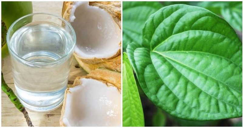 3 cách chữa bệnh gút bằng quả dừa 3