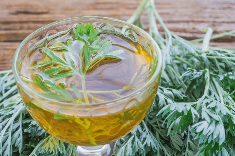 Cách chữa buồng trứng đa nang bằng ngải cứu 2