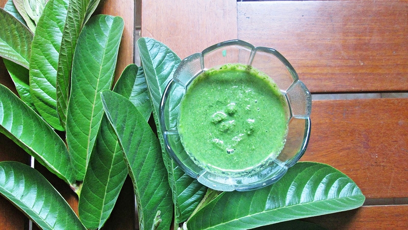 Cách chữa sâu răng bằng lá ổi và muối hột