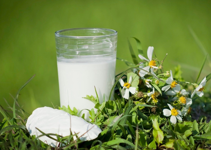 Cách pha bột sắn dây thơm ngon đúng vị giúp giải nhiệt cơ thể 2