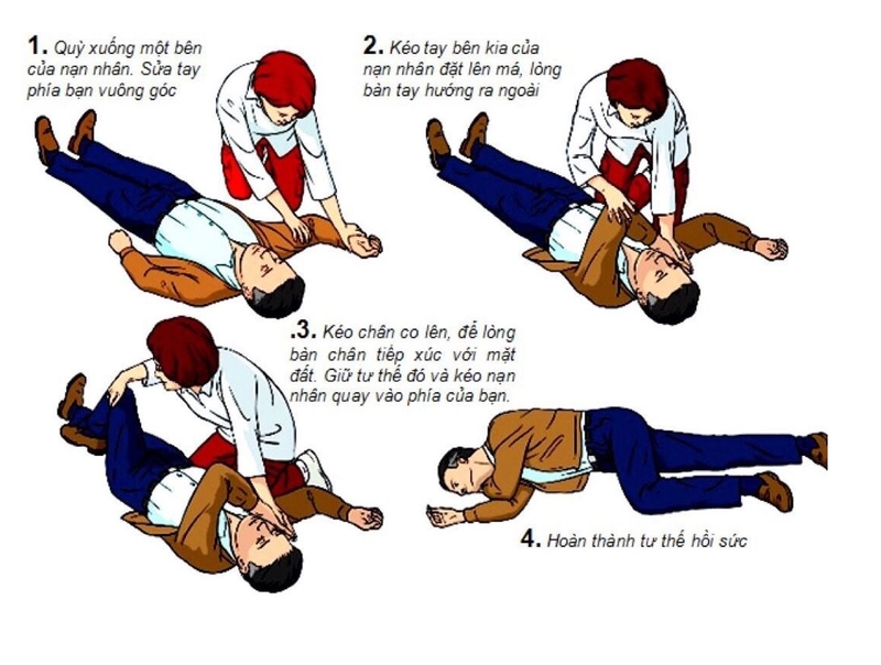 Cách sơ cứu khi bị rắn biển cắn 3