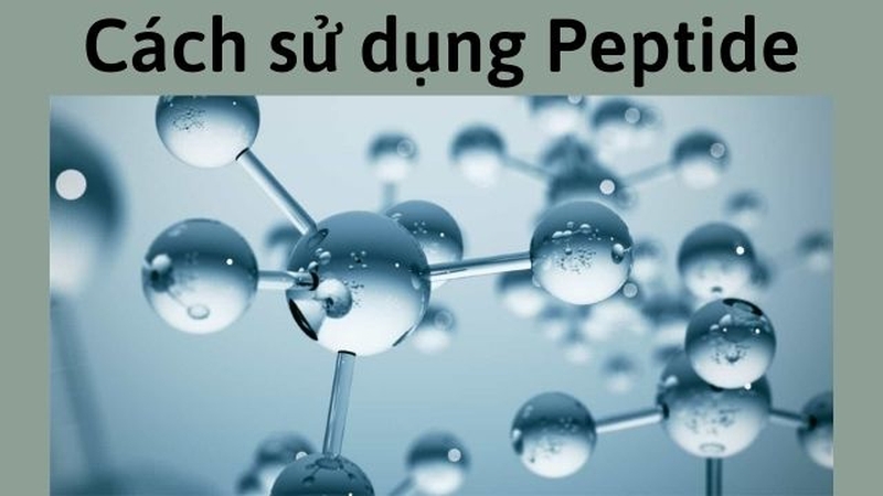 Peptide là gì? Tác dụng? Cách sử dụng peptide khi chăm sóc da cần biết 3