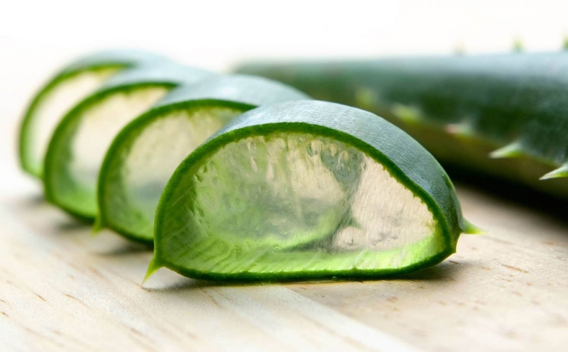 Cách trị sẹo lâu năm bằng nha đam