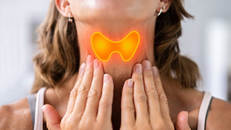 Calcitonin là hormone do tế bào C của tuyến giáp sản xuất