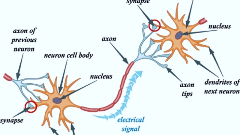 Calcium glucoheptonate là gì? Công dụng, cách dùng và những lưu ý quan trọng 1.jpg