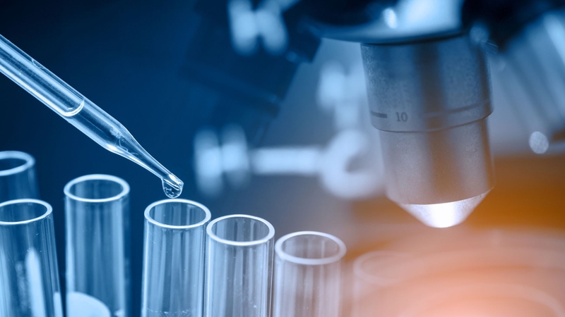 Camptothecin đóng vai trò nền tảng cho sự ra đời của một số thuốc điều trị ung thư