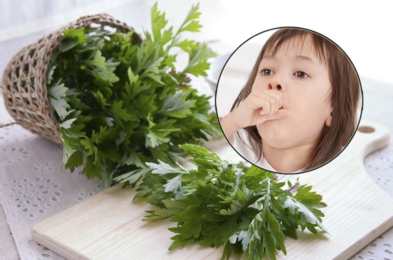 dùng ngải cứu trị cảm cúm hiệu quả