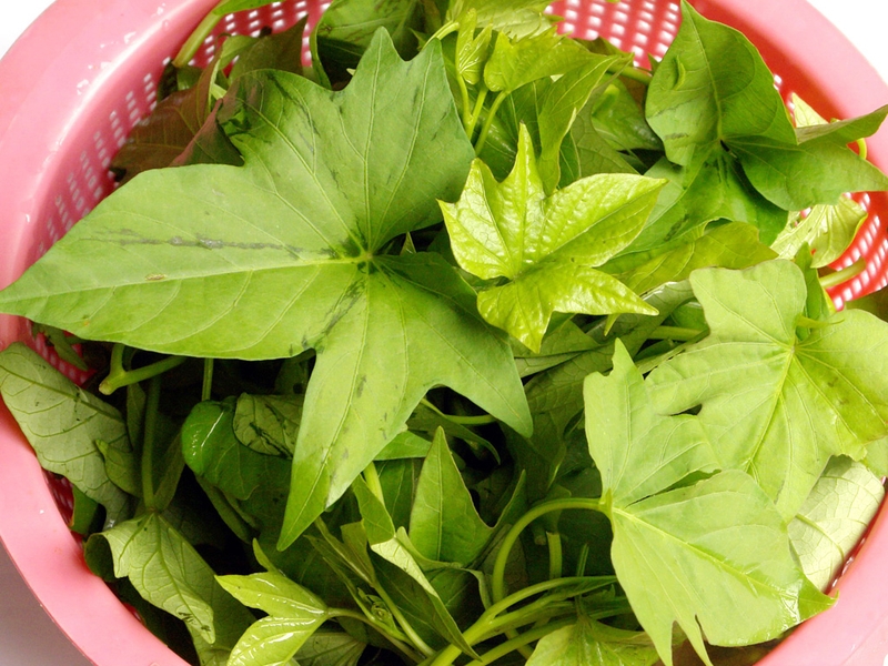 Chế độ dinh dưỡng cho người tiểu đường: Ăn rau lang được không 2