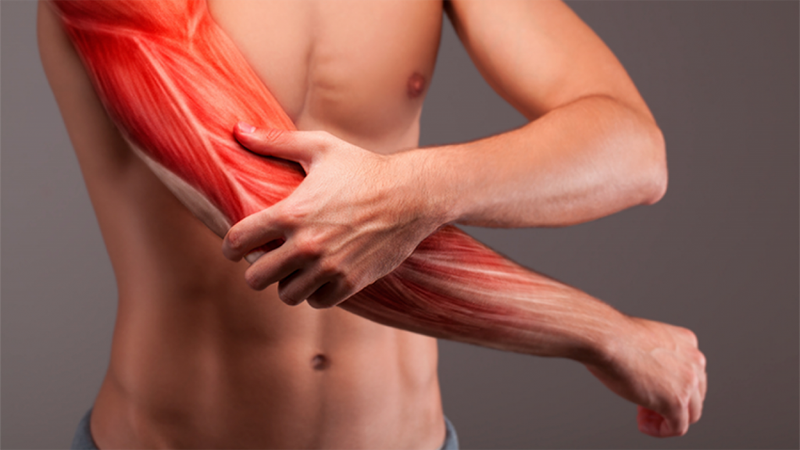 Chia sẻ bí quyết giảm đau cơ bắp tay nhanh chóng tại nhà 1