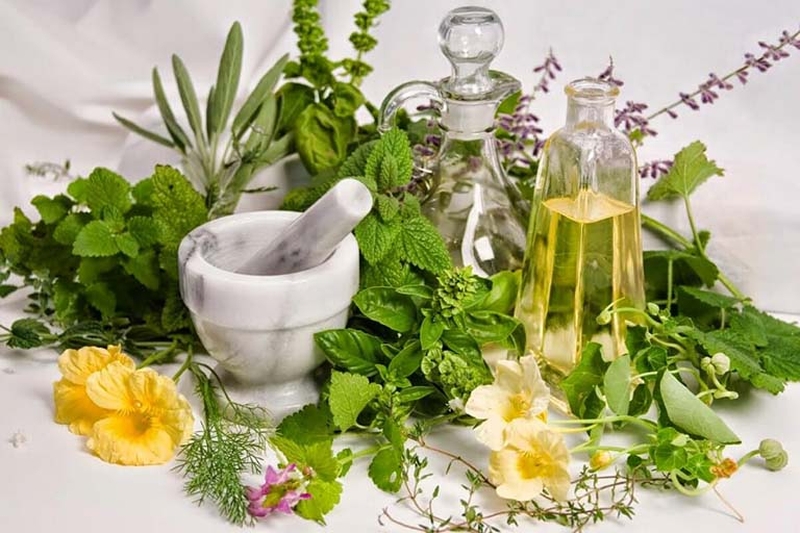 Chia sẻ các bài thuốc trị đau khớp gối đơn giản, dễ thực hiện và đem lại hiệu quả cao 1