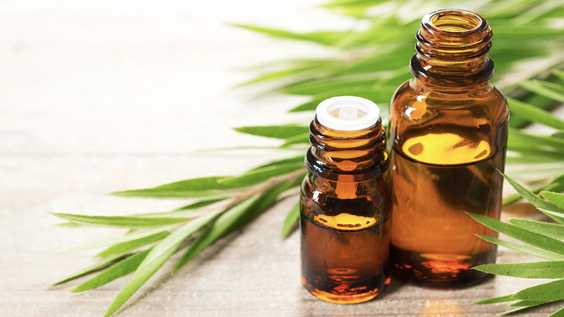 Chia sẻ cùng bạn cách đánh cảm bằng dầu tràm an toàn và đơn giản 3