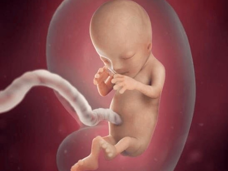 Chiều dài đầu mông thai 12 tuần là bao nhiêu? Chiều dài đầu mông ngắn có sao không? 3